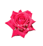 キレイなお花のスタンプPart4（個別スタンプ：2）