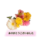 キレイなお花のスタンプPart4（個別スタンプ：3）