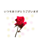 キレイなお花のスタンプPart4（個別スタンプ：4）