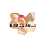キレイなお花のスタンプPart4（個別スタンプ：11）