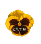 キレイなお花のスタンプPart4（個別スタンプ：14）