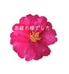 キレイなお花のスタンプPart4（個別スタンプ：16）