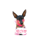 リンちゃん。（個別スタンプ：1）