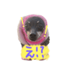 リンちゃん。（個別スタンプ：2）