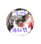 リンちゃん。（個別スタンプ：8）