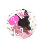 リンちゃん。（個別スタンプ：10）