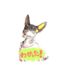 リンちゃん。（個別スタンプ：12）