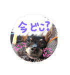 リンちゃん。（個別スタンプ：14）