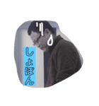 やすおのキモチ vol.3（個別スタンプ：3）