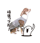 190122153544.531CJ20.（個別スタンプ：5）