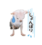 190122153544.531CJ20.（個別スタンプ：7）