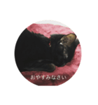 黒猫めめたん（個別スタンプ：1）