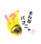 なるの日常（個別スタンプ：4）
