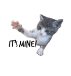 ねこの主張。（個別スタンプ：9）