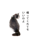 ねこの主張。（個別スタンプ：14）