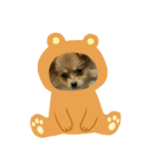 こたろうのすたんぷ2（個別スタンプ：4）