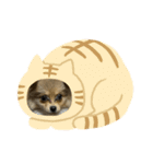 こたろうのすたんぷ2（個別スタンプ：13）