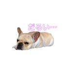 フレブル モモタロウ（個別スタンプ：4）