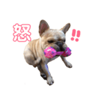 フレブル モモタロウ（個別スタンプ：10）