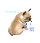 フレブル モモタロウ（個別スタンプ：11）
