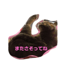 れお子ちゃんの毎日（個別スタンプ：13）
