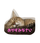 れお子ちゃんの毎日（個別スタンプ：16）