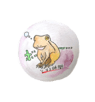 ケロ太お気軽スタンプ（個別スタンプ：2）