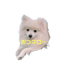くっちょま（個別スタンプ：3）