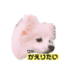 くっちょま（個別スタンプ：7）