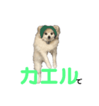 くっちょま（個別スタンプ：8）