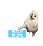 くっちょま（個別スタンプ：11）