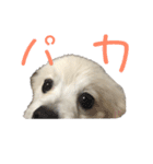 くっちょま（個別スタンプ：14）