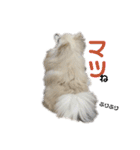 くっちょま（個別スタンプ：17）