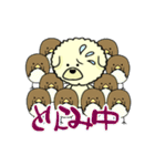 ビションのモフ犬 げんさん 友達と出逢う（個別スタンプ：1）