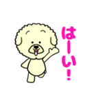 ビションのモフ犬 げんさん 友達と出逢う（個別スタンプ：26）