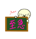 ビションのモフ犬 げんさん 友達と出逢う（個別スタンプ：28）