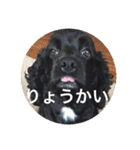 LUIのスタンプ（個別スタンプ：6）