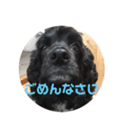 LUIのスタンプ（個別スタンプ：7）