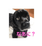 LUIのスタンプ（個別スタンプ：11）
