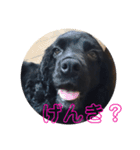 LUIのスタンプ（個別スタンプ：12）