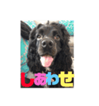 LUIのスタンプ（個別スタンプ：17）
