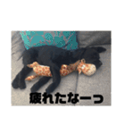 LUIのスタンプ（個別スタンプ：18）