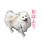 Hikaru +1（個別スタンプ：1）