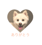 Hikaru +1（個別スタンプ：4）