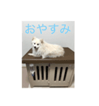 Hikaru +1（個別スタンプ：7）