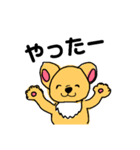 わたしはちゃわわ（個別スタンプ：10）