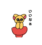 わたしはちゃわわ（個別スタンプ：19）