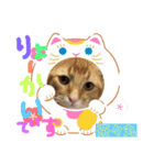 茶々丸の日常（個別スタンプ：5）