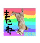 茶々丸の日常（個別スタンプ：6）