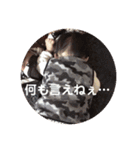 侑李くんのスタスタスタンプ（個別スタンプ：4）